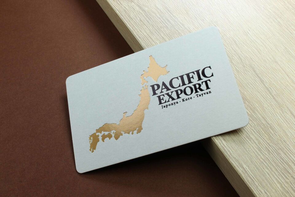 Fantazi Açık Gri Kağıt + Yaldız Baskılı + Dubleks Sıvamalı  500 Adet